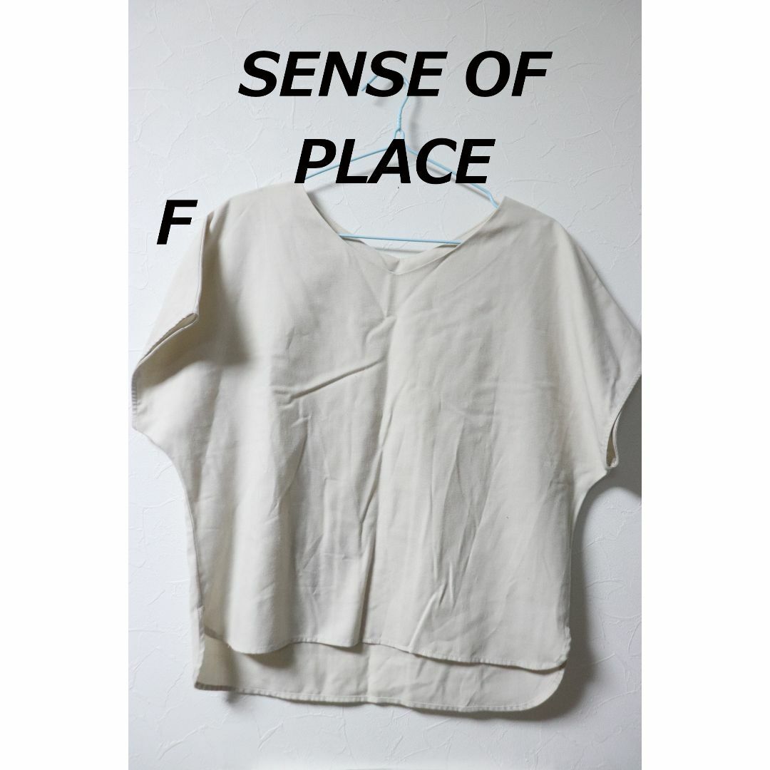 SENSE OF PLACE by URBAN RESEARCH(センスオブプレイスバイアーバンリサーチ)のプロフ必読SENSE OF PLACE半袖カットソーベージュ/アーバンリサーチF レディースのトップス(Tシャツ(半袖/袖なし))の商品写真