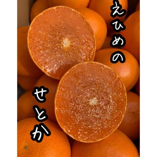 愛媛県産　せとか　少し訳あり　3㎏　柑橘　みかん　ミカン(フルーツ)