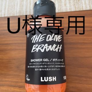 ラッシュ(LUSH)のLUSH シャワージェル(ボディソープ/石鹸)