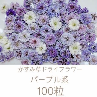 パープル系 かすみ草ドライフラワー100粒(ドライフラワー)