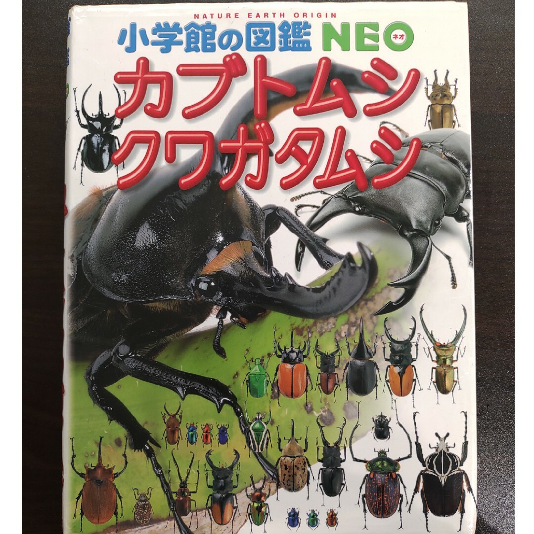 小学館(ショウガクカン)のカブトムシ・クワガタムシ　小学館図鑑NEO エンタメ/ホビーの本(絵本/児童書)の商品写真