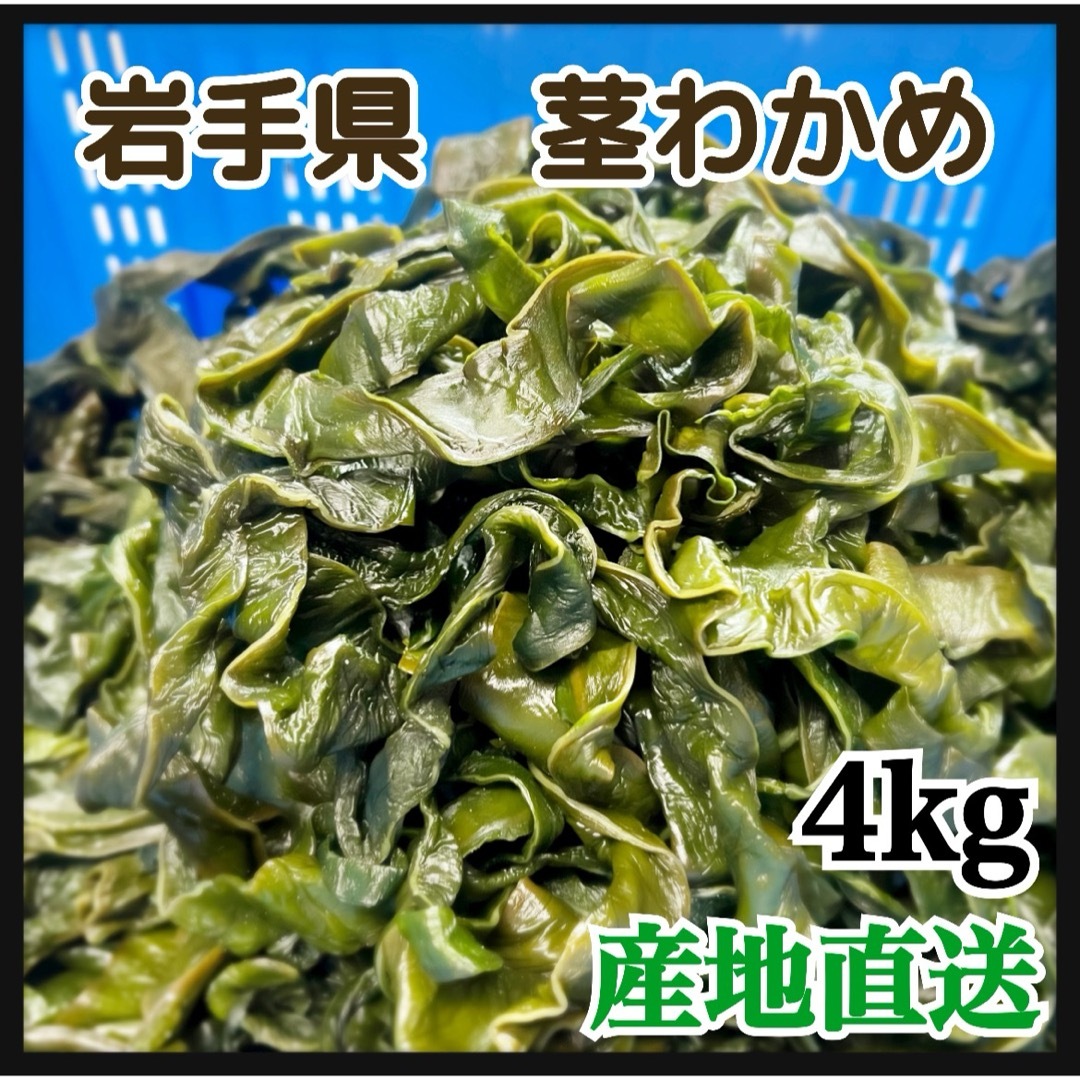 大容量　【漁師直送】岩手県産　塩蔵茎わかめ　4kg  在庫のみ 食品/飲料/酒の食品(野菜)の商品写真