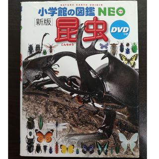 ショウガクカン(小学館)の昆虫　小学館図鑑NEO(絵本/児童書)