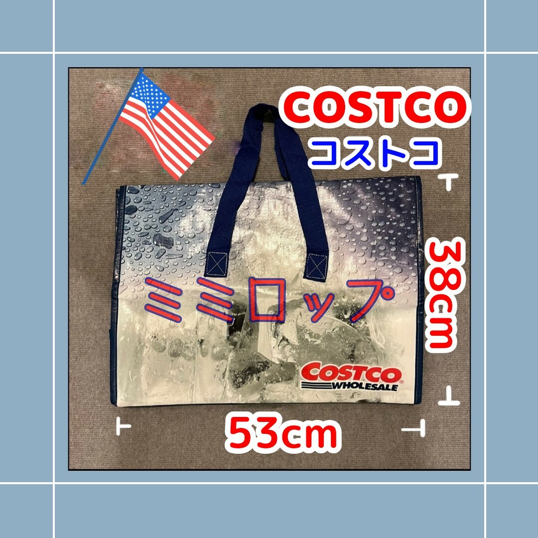 コストコ(コストコ)のコストコ　保冷バック スポーツ/アウトドアのアウトドア(その他)の商品写真