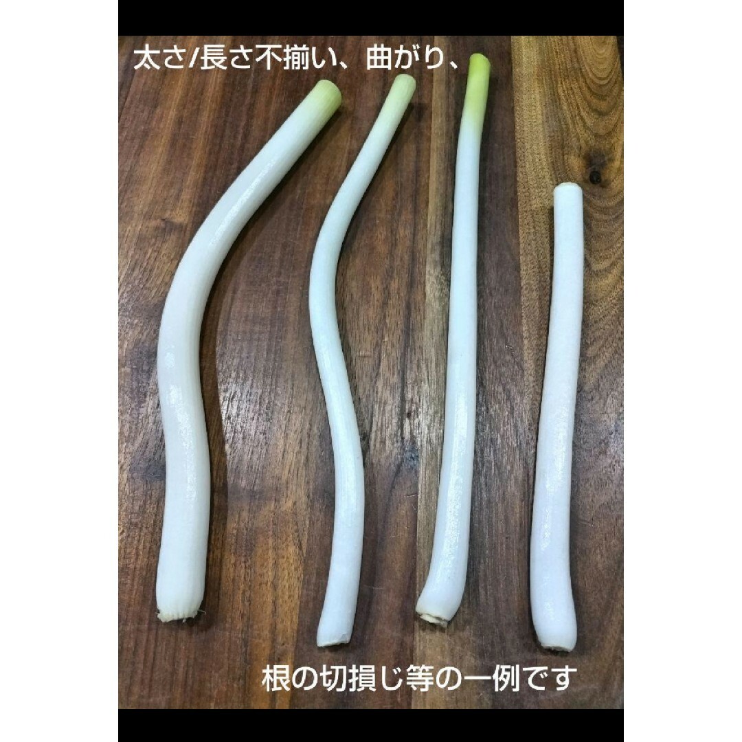 岡山県産　訳アリ　白ネギ　農家直送 食品/飲料/酒の食品(野菜)の商品写真