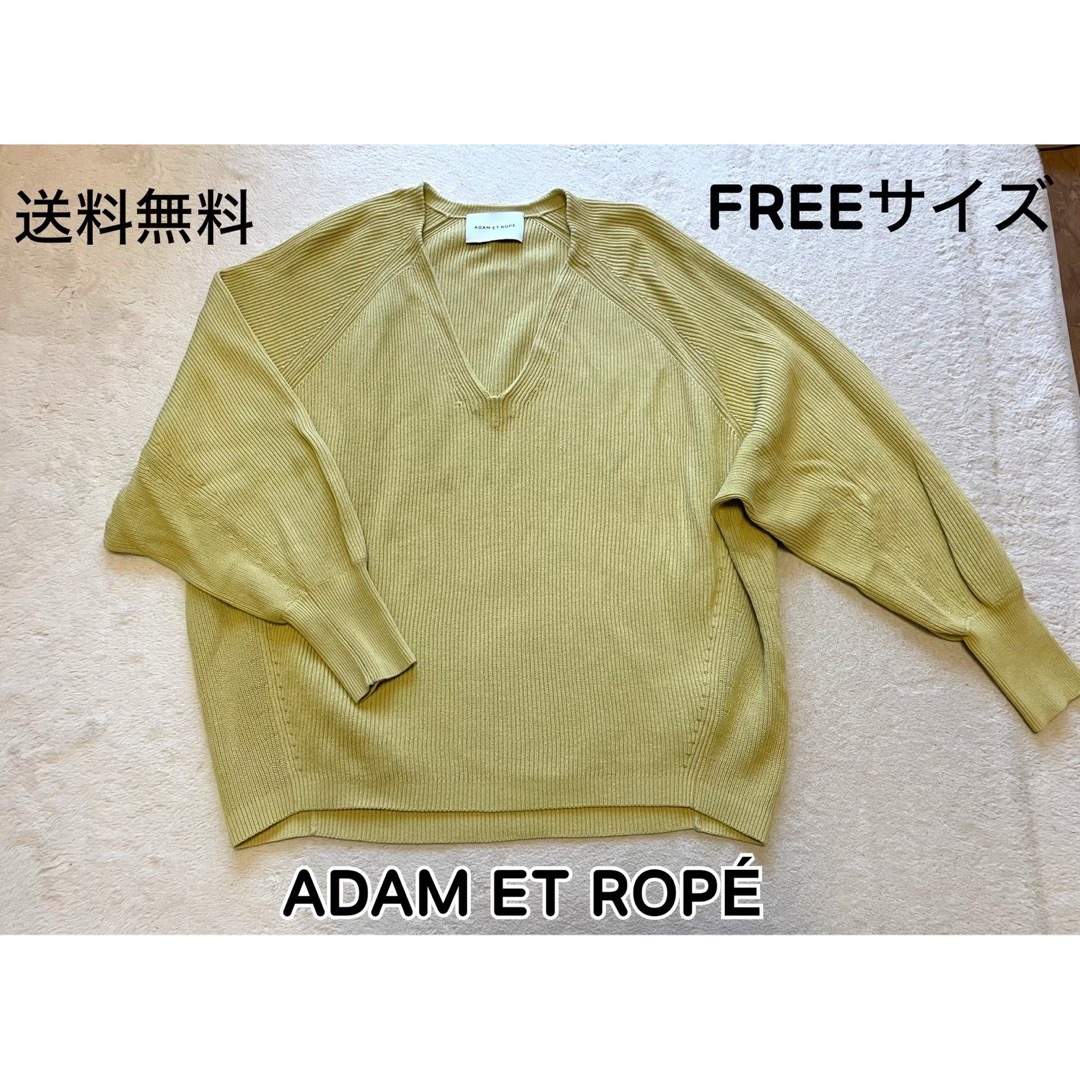 Adam et Rope'(アダムエロぺ)のADAM ET ROPÉ  定価約14000円  スプリングニット⭐︎春物 レディースのトップス(ニット/セーター)の商品写真