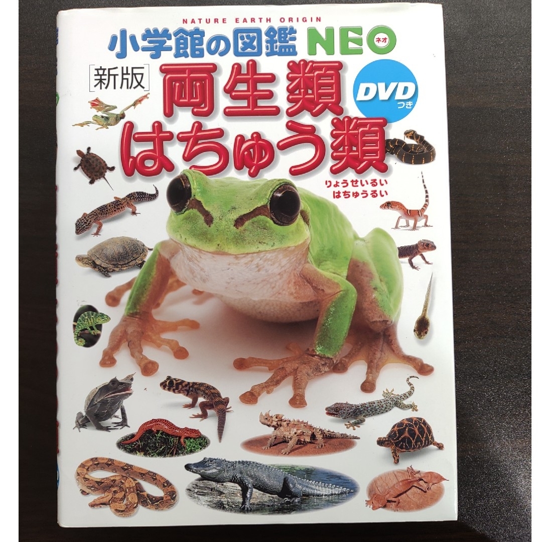 小学館(ショウガクカン)の両生類・はちゅう類　小学館図鑑NEO エンタメ/ホビーの本(絵本/児童書)の商品写真