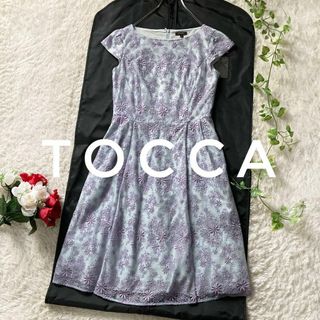 トッカ(TOCCA)のTOCCA　ムーンライトフレグランスドレス　総刺繍　レース　エンブロイダリー　2(ひざ丈ワンピース)