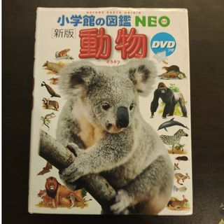 ショウガクカン(小学館)の動物　小学館図鑑NEO(絵本/児童書)