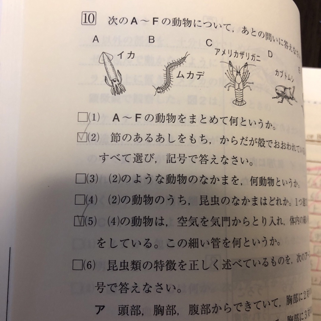 シリウス　理科　中学 エンタメ/ホビーの本(語学/参考書)の商品写真