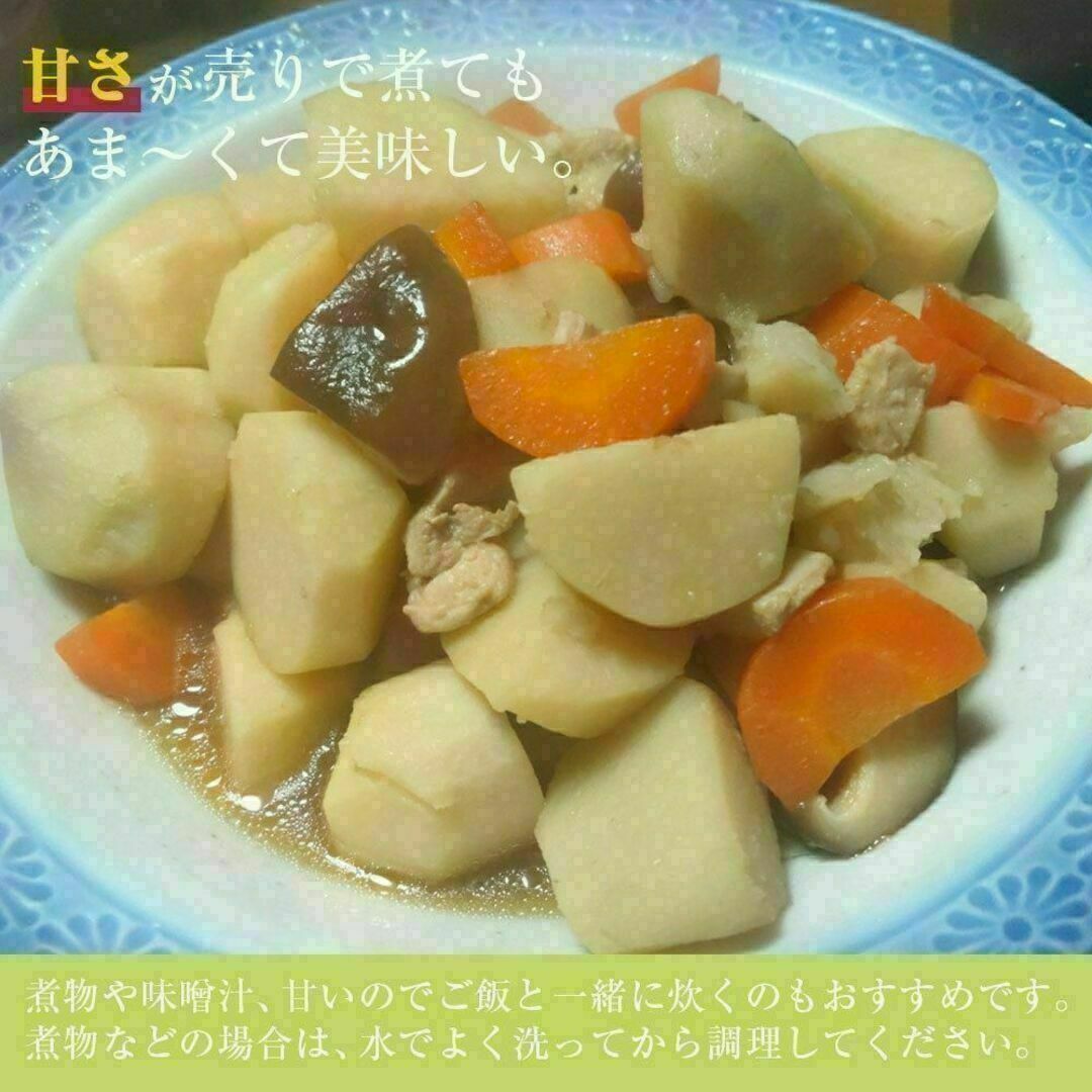 【鳥取県産】黄金里芋 サトイモ 山芋 女早生芋 宅急便コンパクト 1kg前後 食品/飲料/酒の食品(野菜)の商品写真