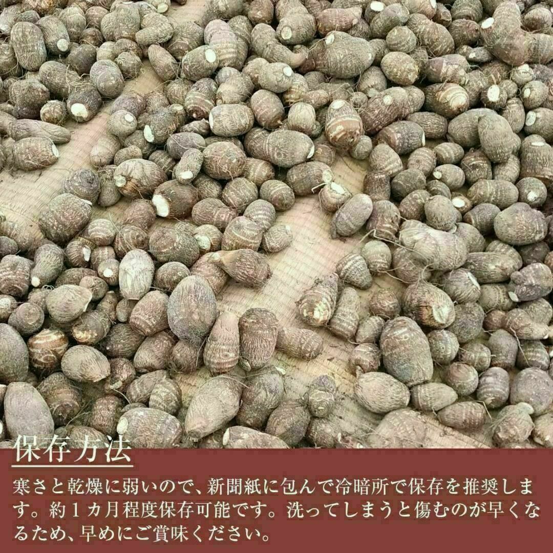 【鳥取県産】黄金里芋 サトイモ 山芋 女早生芋 宅急便コンパクト 1kg前後 食品/飲料/酒の食品(野菜)の商品写真