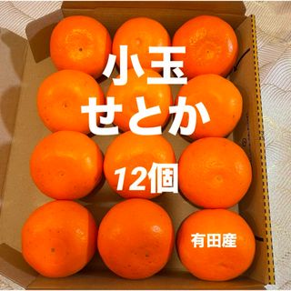 先着5名様❣️限定品】日向夏1㎏/みかん 果物 柑橘 フルーツ 産地直送