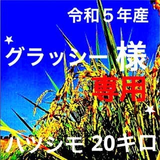 ⭐️グラッシー様専用⭐️R５年産✳️減農・有機肥料・送料無料ハツシモ20キロ(米/穀物)