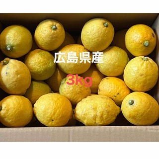 広島県産 レモン 箱込約3kg(フルーツ)