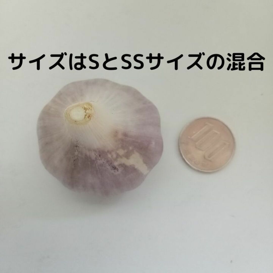 沖縄県読谷産 島にんにく S/SSサイズ 850ｇ 無農薬 数量限定 沖縄 野菜 食品/飲料/酒の食品(野菜)の商品写真