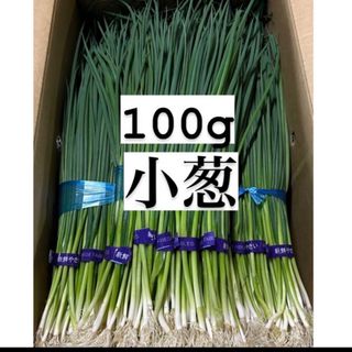 福岡県産　ネギ100g 1人限定(野菜)