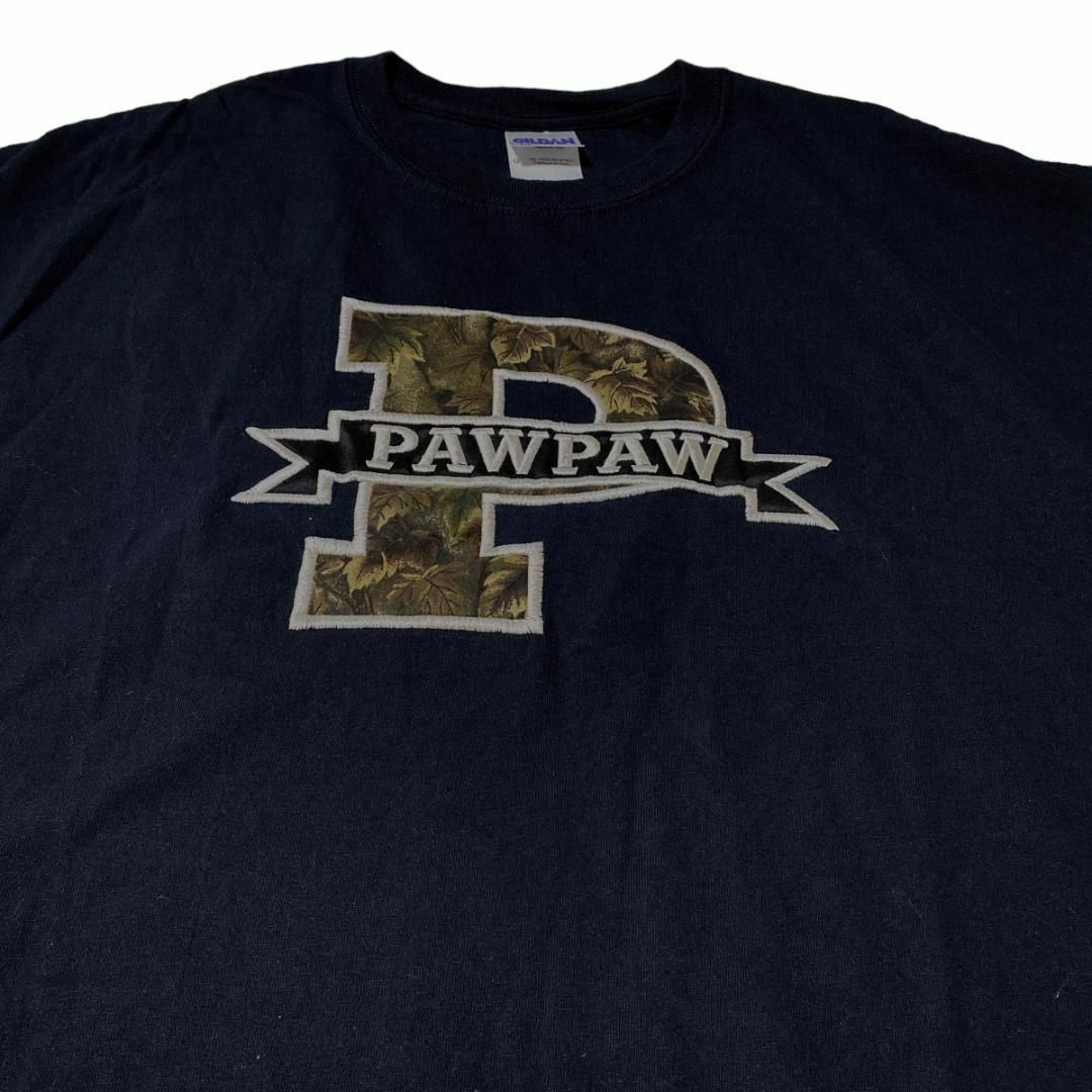 GILDAN(ギルタン)のGILDAN 半袖Tシャツ PAWPAW 植物 ロゴ刺繍 US古着 ax8 メンズのトップス(Tシャツ/カットソー(半袖/袖なし))の商品写真