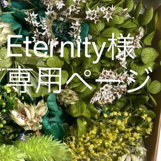 Eternity様専用ページ　ピアス　オーダー(ピアス)