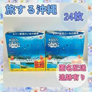 【旅する沖縄】入浴剤　アース製薬　バスロマン　2袋　新品(入浴剤/バスソルト)