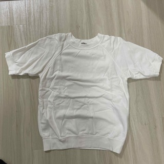オーラリー(AURALEE)のオーラリー　Tシャツ　白　カシミヤ(Tシャツ(半袖/袖なし))
