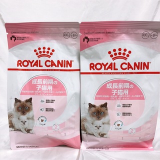 ロイヤルカナン(ROYAL CANIN)の猫まっしぐら　ロイヤルカナン　子猫　キトン　前期　400g２袋 キャットフード(ペットフード)