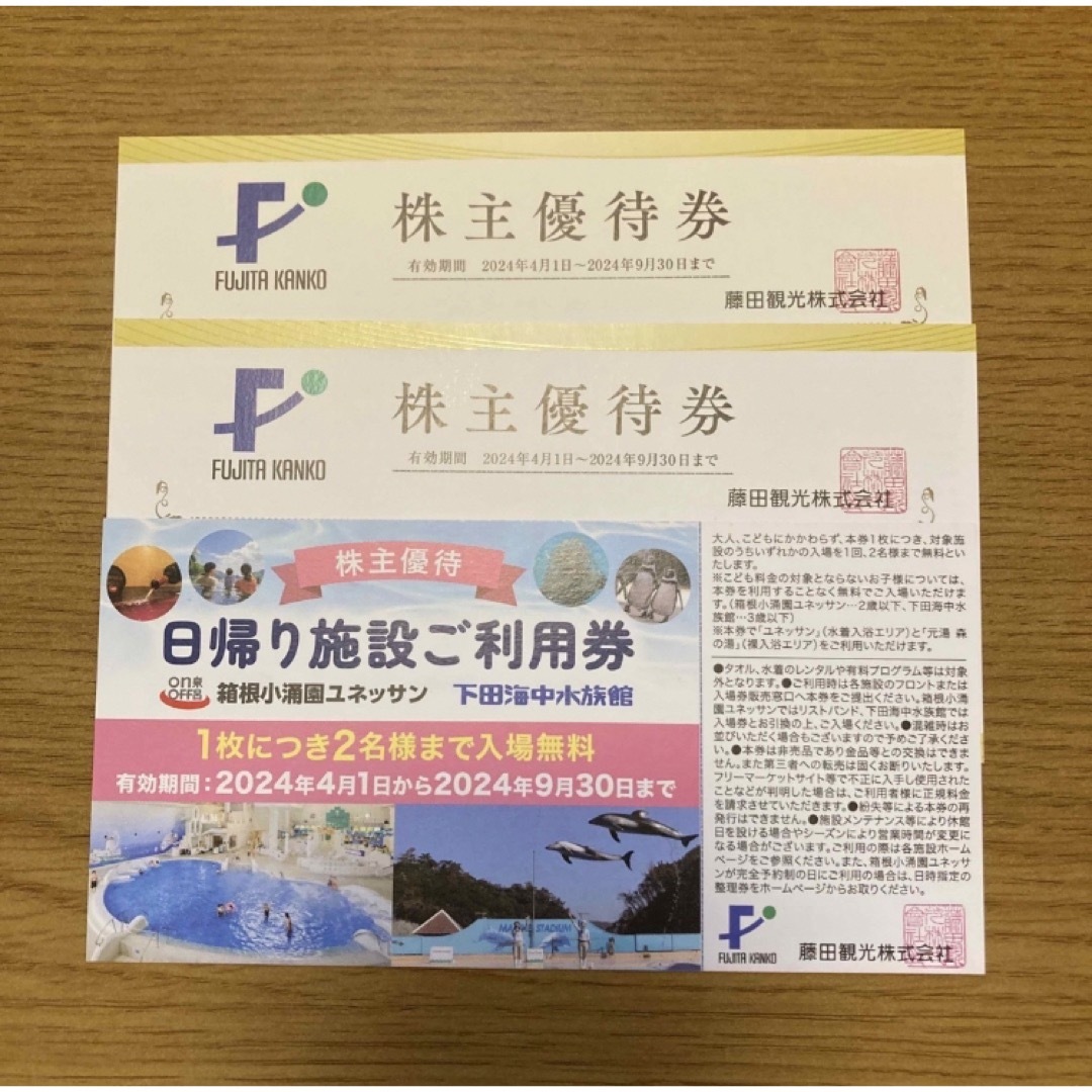 藤田観光 株主優待券 2名無料（箱根小涌園ユネッサン・下田海中水族館） チケットの施設利用券(遊園地/テーマパーク)の商品写真