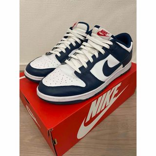 ナイキ(NIKE)の【超美品】NIKE DUNK LOW RETRO/28.5cm(スニーカー)