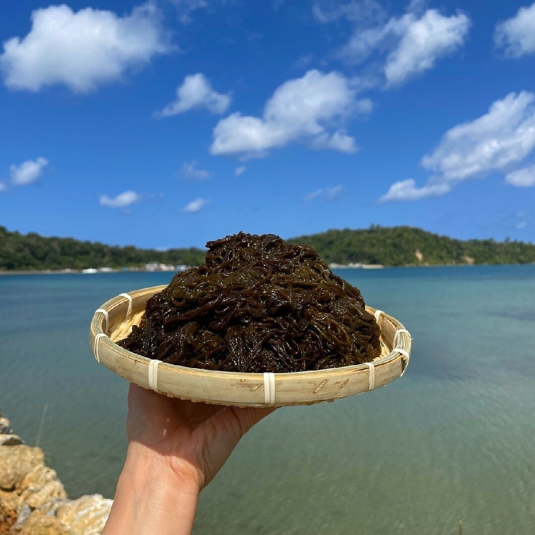 沖縄県産太もずく♪2kg (1kg×2パック)太くて長～い塩蔵もずく♪送料無料 食品/飲料/酒の食品(野菜)の商品写真