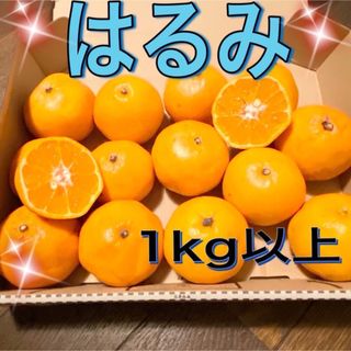 先着5名様❣️限定品】日向夏1㎏/みかん 果物 柑橘 フルーツ 産地直送