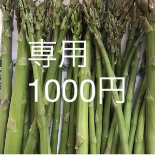 専用★規格外アスパラガス★福岡県産★細いのが多くなります(野菜)