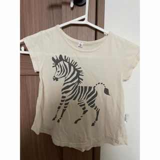 マーキーズ(MARKEY'S)のマーキーズ　しまうまTシャツ　100cm(Tシャツ/カットソー)