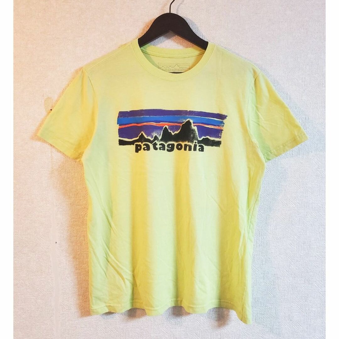 patagonia(パタゴニア)のパタゴニア（Patagonia）　半袖　Tシャツ　ロゴ　Mサイズ メンズのトップス(Tシャツ/カットソー(半袖/袖なし))の商品写真