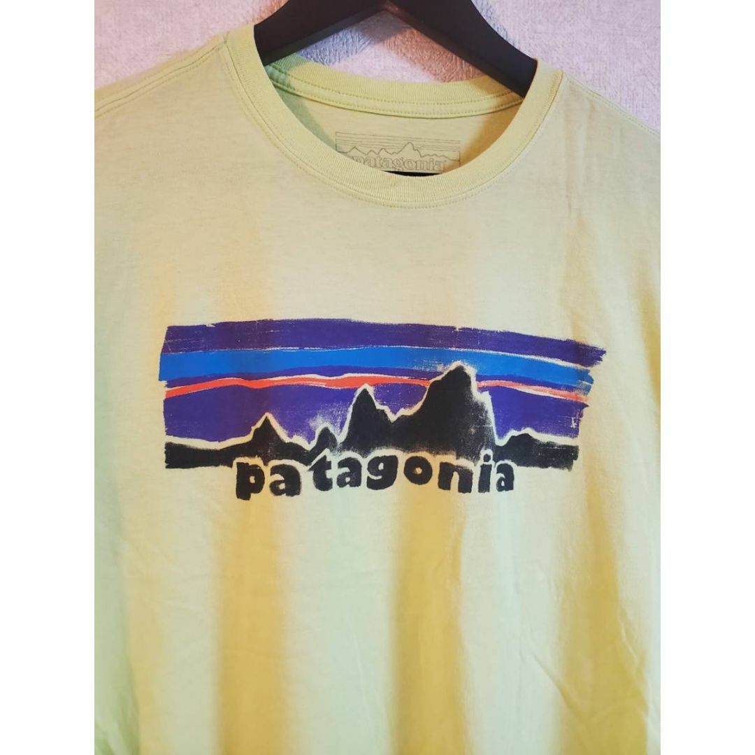 patagonia(パタゴニア)のパタゴニア（Patagonia）　半袖　Tシャツ　ロゴ　Mサイズ メンズのトップス(Tシャツ/カットソー(半袖/袖なし))の商品写真