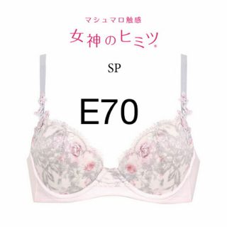 ワコール(Wacoal)のワコール　女神のヒミツ　E70(ブラ)