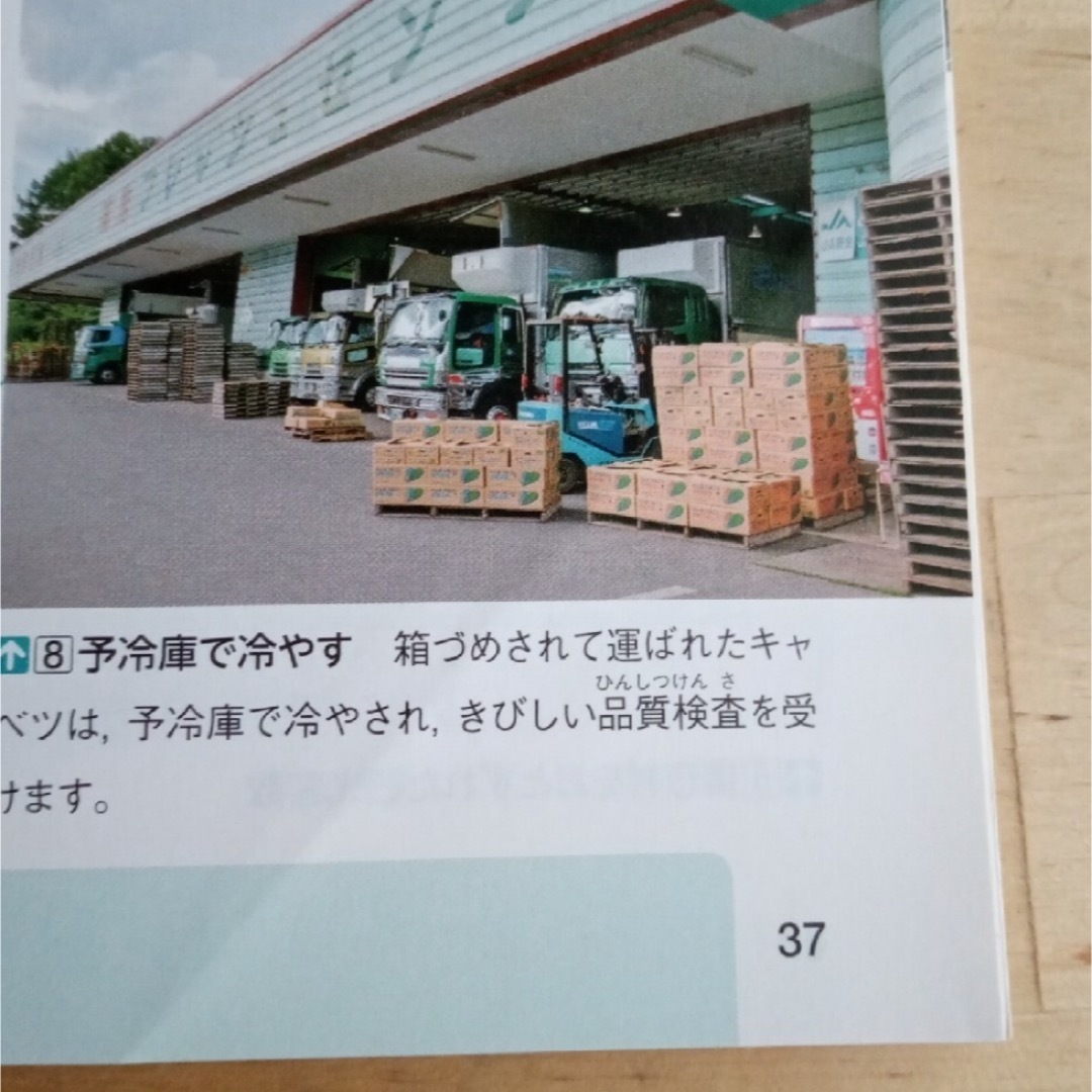 東京書籍(トウキョウショセキ)の新しい社会 5 東京書籍 エンタメ/ホビーの本(語学/参考書)の商品写真