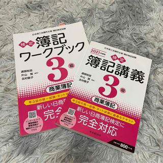 2024行政書士講座(全科目+記述式)DVD34枚◇PDFテキスト&問題集付き 2024行政書士講座(全科目+記述式)DVD34枚◇PDFテキスト&問題集付き