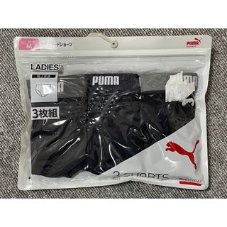 PUMA レディース スタンダードショーツ Lsize：3枚セット