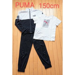 PUMA - ◆PUMA ジャージ Tシャツ 150cm キッズ ジュニア 子供用 ウエア