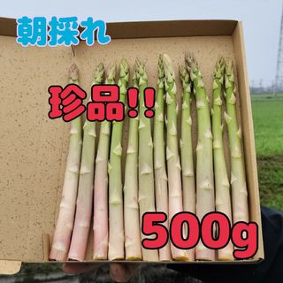 珍品　アスパラガス500g(野菜)