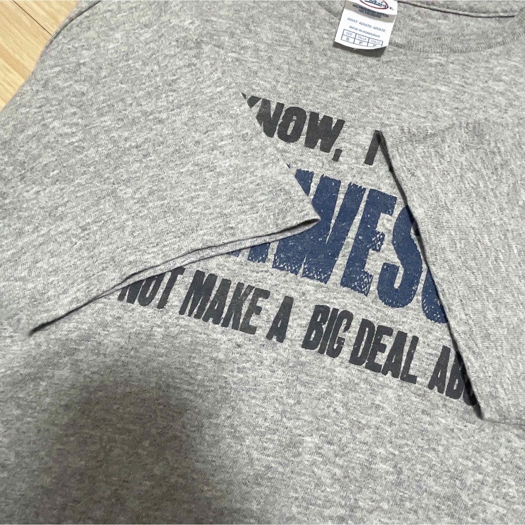 DELTA(デルタ)のDELTA PRO WEIGHT　Tシャツ　S　グレー　プリント　USA古着 メンズのトップス(Tシャツ/カットソー(半袖/袖なし))の商品写真