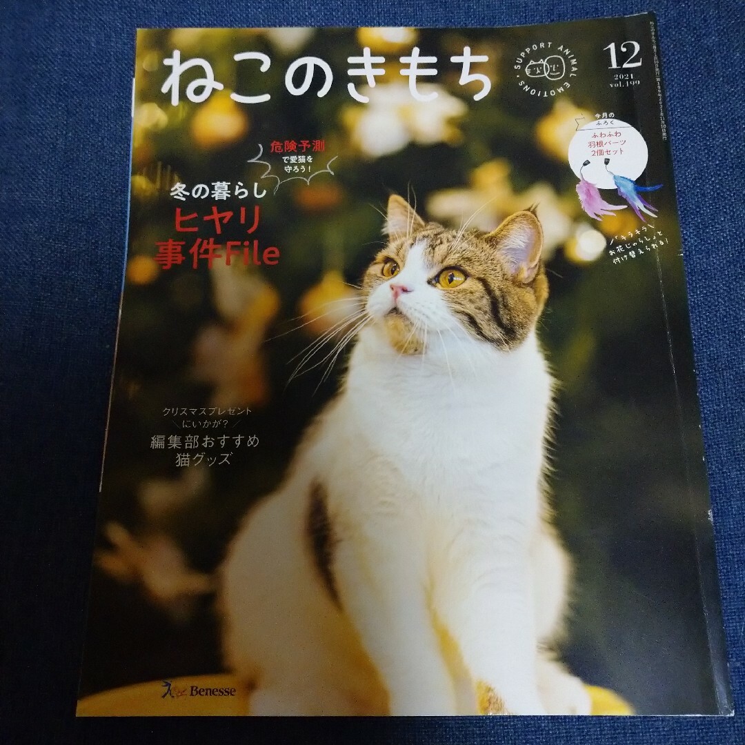 Benesse(ベネッセ)のねこのきもち　2021年12月号　vol.199 エンタメ/ホビーの雑誌(専門誌)の商品写真