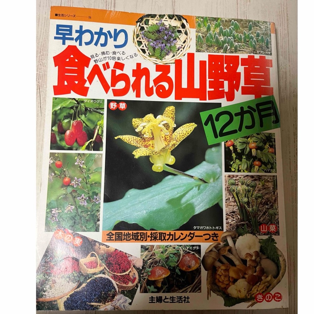 早わかり　食べれる山野草　12か月　主婦と生活社 エンタメ/ホビーの雑誌(料理/グルメ)の商品写真