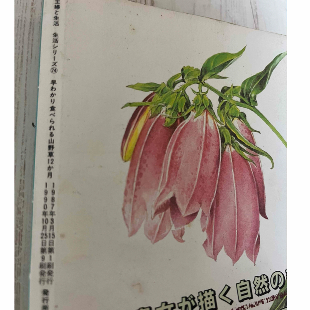 早わかり　食べれる山野草　12か月　主婦と生活社 エンタメ/ホビーの雑誌(料理/グルメ)の商品写真