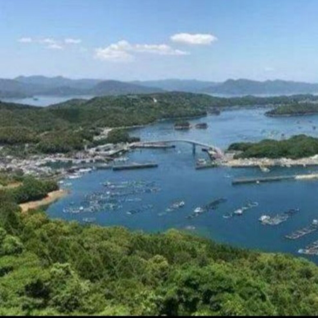 鹿児島県長島町産 あおさ あおさのり 乾燥あおさ 食品/飲料/酒の加工食品(乾物)の商品写真