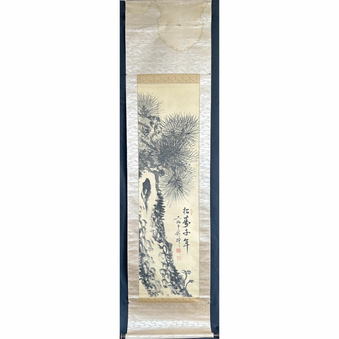 松柏4