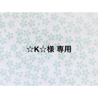 【☆K☆様 専用】給食セット＊2(外出用品)