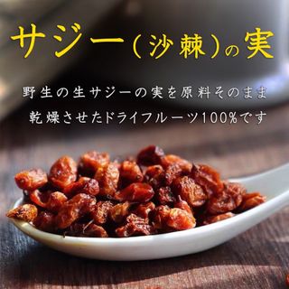 サジー（沙棘）の実（乾燥）ドライフルーツ100g 【新疆野生原料そのまま 無添加(その他)