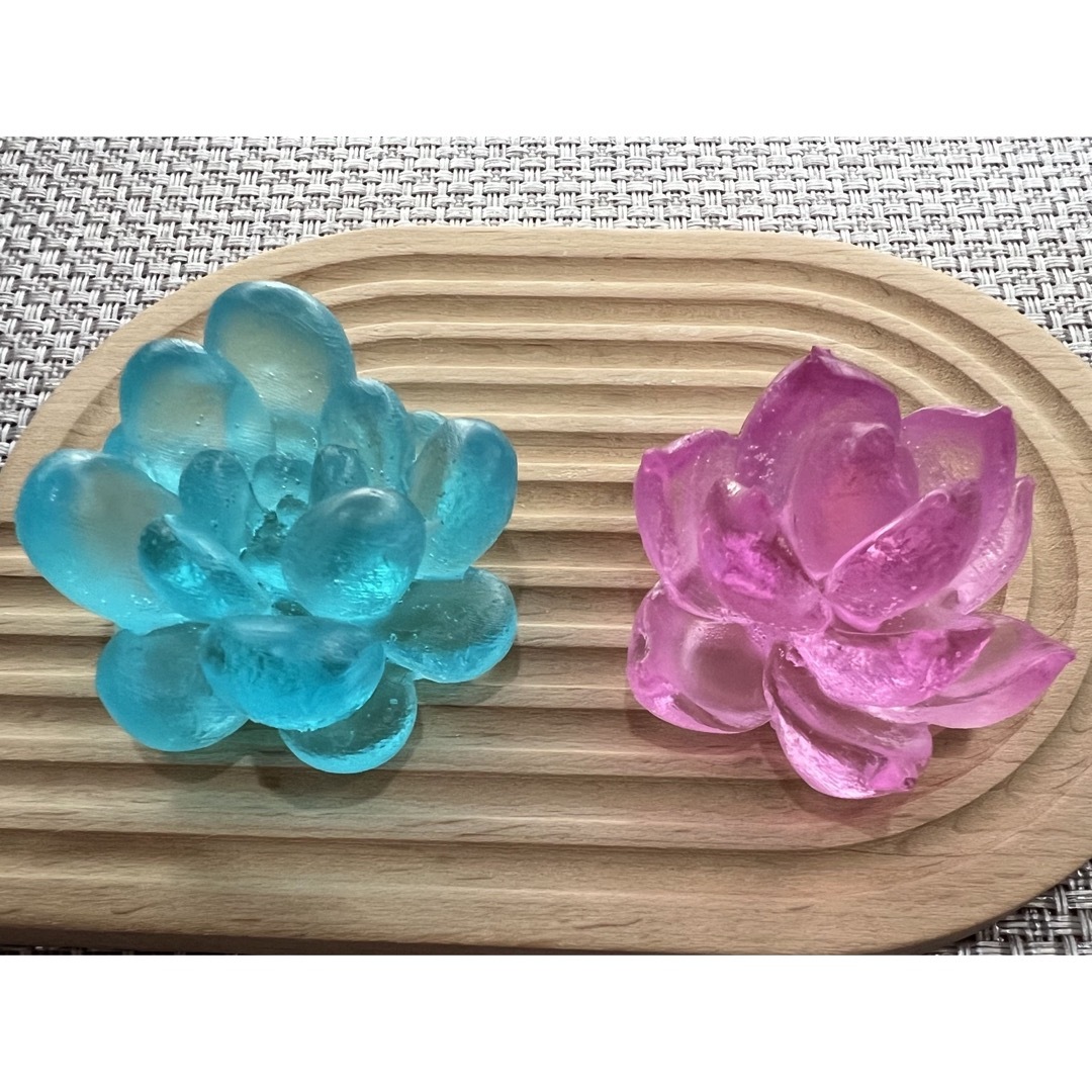 レジン　多肉植物 ハンドメイドのインテリア/家具(その他)の商品写真