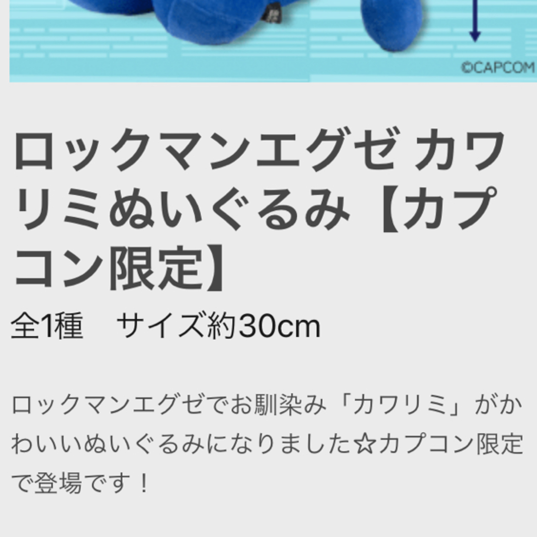 CAPCOM(カプコン)の【カプコン限定】 ロックマンエグゼ カワリミぬいぐるみ エンタメ/ホビーのおもちゃ/ぬいぐるみ(キャラクターグッズ)の商品写真